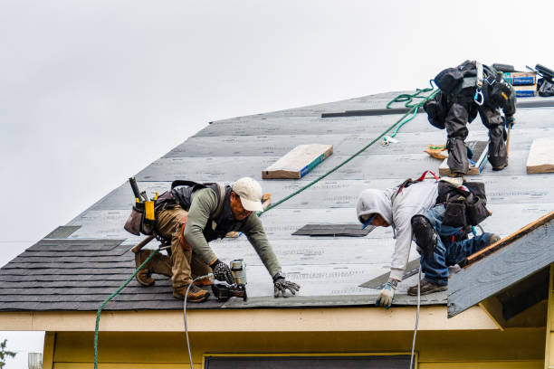 Professional Storm Damage Roof Repair technician working in Burt, MI